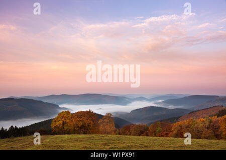 Morning Mist, vue sur les collines boisées, près de Sundern, montagnes Rothaar, Sauerland, Rhénanie du Nord-Westphalie, Allemagne Banque D'Images