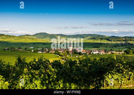 Village viticole et du paysage culturel à l'automne, Vogtsburg im Kaiserstuhl, Burkheim, Bade-Wurtemberg, Allemagne Banque D'Images