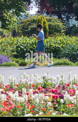 Une femme marche dernières parterres colorés à Warwick sur une chaude journée d'été dans la région de Warwickshire, Royaume-Uni. 03. Juillet 2019. Banque D'Images