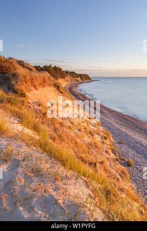 Les falaises et les dunes dans la lumière du soir, près de Dranske, presqu'île de Wittow, Ruegen, côte de la mer Baltique, Mecklembourg-Poméranie-Occidentale, Allemagne du Nord, G Banque D'Images