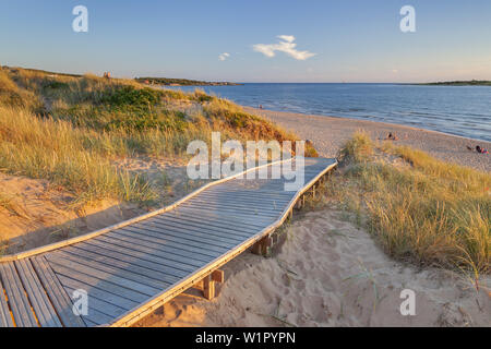 Chemin à travers les dunes de la plage de Tylösand, Halmstad, Halland, sud de la Suède, Suède, Scandinavie, Europe du Nord, Europe Banque D'Images