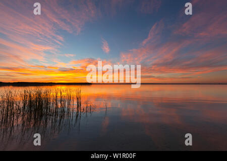 Lac de Schwerin, Mecklenburg Lake District, Schleswig-Holstein, Allemagne Banque D'Images