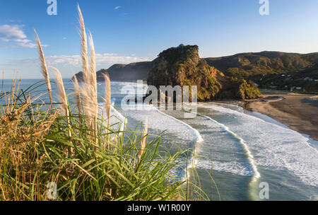 Piha, Waitakere Ranges Regional Park, Auckland, Mer de Tasmanie, île du Nord, Nouvelle-Zélande, Océanie Banque D'Images