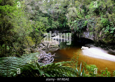 Moria Gate Arch dans bassin Oparara Karamea, Westcoast, près de l'île du Sud, Nouvelle-Zélande Banque D'Images