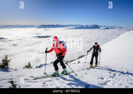 La femme et l'homme le ski nordique ordre croissant vers Hinteres Sonnwendjoch, brouillard dans la vallée, Hinteres Sonnwendjoch, Alpes bavaroises, Tirol, Autriche Banque D'Images