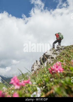 Young female hiker debout sur un rocher dans un proche de l'Muttlerkopf dans les Alpes Banque D'Images