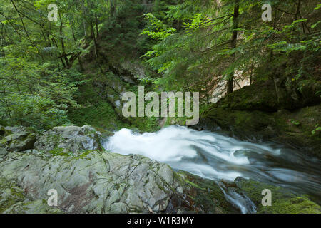 Ravennaschlucht, Forêt-Noire, Bade-Wurtemberg, Allemagne Banque D'Images