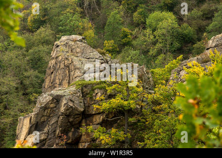 Vue depuis le Rosstrappe sur rochers de granit dans la vallée de Bode près de Thale, District de Harz, Parc National de Harz, Saxe-Anhalt, Allemagne, Europe Banque D'Images