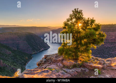 Coucher du soleil sur la rivière Rouge dans le Flaming Gorge National Recreation Area, Utah USA Banque D'Images