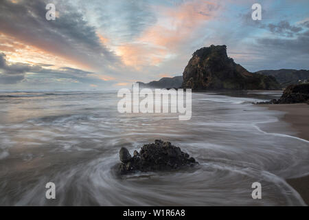 Piha beach, Waitakere Ranges Regional Park, Auckland, Mer de Tasmanie, île du Nord, Nouvelle-Zélande, Océanie Banque D'Images