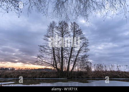 Rivière paysage à l'heure d'hiver dans la région de Spreewald pendant il lever du soleil Banque D'Images