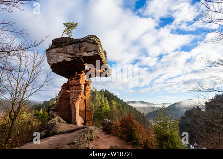 Rocher en forme de champignon, Devil's Table, Hinterweidenthal, Rhénanie-Palatinat, Allemagne, Europe Banque D'Images