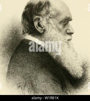 Image d'archive à partir de la page 7 de Darwin, et un après Darwin. Darwin, et après Darwin. Une exposition de la théorie darwinienne et une discussion des questions post-darwinien darwinafterdarwi romauoft Année : 1901-190601 Banque D'Images
