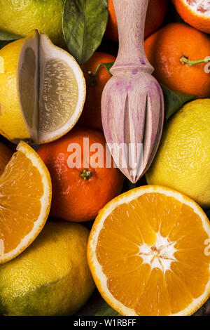 Close-up avec les oranges et les agrumes en bois mixte et centrifugeuse Banque D'Images