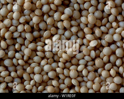 Macro Close-up, les graines d'Amarante Amaranthus, de l'alimentation Contexte Banque D'Images