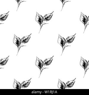 Doodle contour des feuilles transparente dans l'art de style sur fond blanc. Floral motif transparent contours. Design simple et mignon. Motif style dessiné à la main. V Illustration de Vecteur