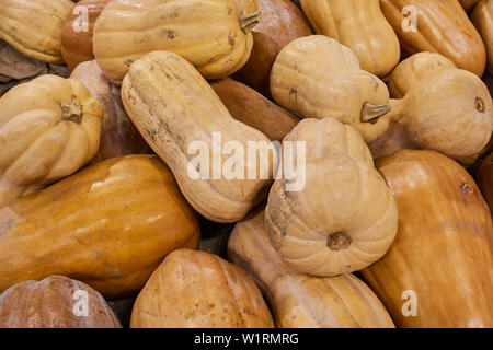Les citrouilles sur le comptoir d'un magasin de légumes. Banque D'Images