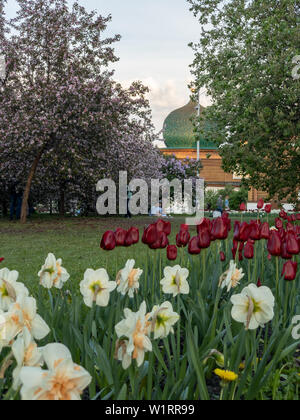 Les lys et les tulipes sur l'arrière-plan du Palais du Tsar Alexei Mikhailovich dans Parc Kolomenskoye Banque D'Images