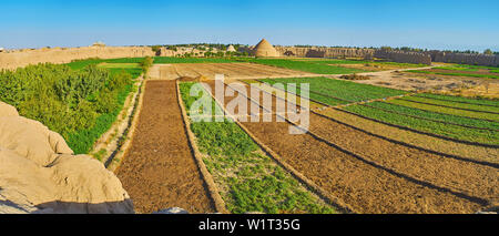 Panorama de Ghaleh Jalali fortres avec cuisine les jardins et les champs des habitants, entourée de vieux murs d'argile, Kashan, Iran Banque D'Images