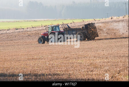 L'épandage de fumier de camion Banque D'Images