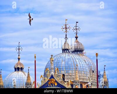 Une mouette vole en face de la cathédrale Saint Marc à Venise Banque D'Images