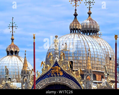 Une mouette vole en face de la cathédrale Saint Marc à Venise Banque D'Images