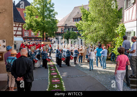 Groupe de musique traditionnel, Corpus Christi, Fête de la procession du Corpus Christi, tapis de fleurs, Radolfzell, Lac de Constance, Bade-Wurtemberg, Allemagne, Euro Banque D'Images