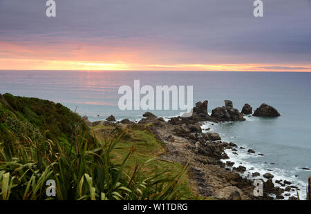 Cape Foulwind près de Westport, Westcoast, île du Sud, Nouvelle-Zélande Banque D'Images