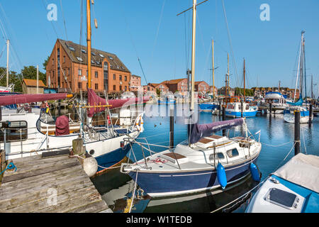 Marina, Orth, côte de la mer Baltique, Schleswig-Holstein, Allemagne Banque D'Images