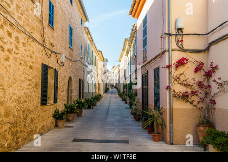 Centre historique, Alcudia, Majorque, Iles Baléares, Espagne Banque D'Images