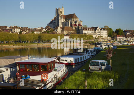 Vue sur la rivière Yonne à Cathédrale Saint-Étienne à Auxerre , Departement Yonne , Bourgogne , France , Europe Banque D'Images