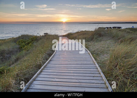 Chemin à travers les dunes de la plage de Tylösand, Halmstad, Halland, sud de la Suède, Suède, Scandinavie, Europe du Nord, Europe Banque D'Images