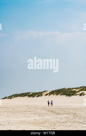 Poussette en face de la dune à l'Est de l'île, Wangerooge, Frise orientale, Basse-Saxe, Allemagne Banque D'Images