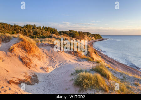 Les falaises et les dunes dans la lumière du soir, près de Dranske, presqu'île de Wittow, Ruegen, côte de la mer Baltique, Mecklembourg-Poméranie-Occidentale, Allemagne du Nord, G Banque D'Images