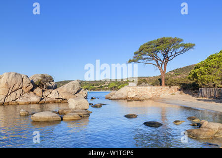 Punta di Colombara entre les plages Plage de palombaggia et Plage de Tamaricciu, Porto-Vecchio, Corse du Sud, Corse, France du Sud, France, S Banque D'Images