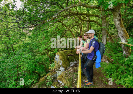 Trois personnes randonnées debout à balustrade et regardant vers la forêt, Albsteig, Forêt-Noire, Bade-Wurtemberg, Allemagne Banque D'Images