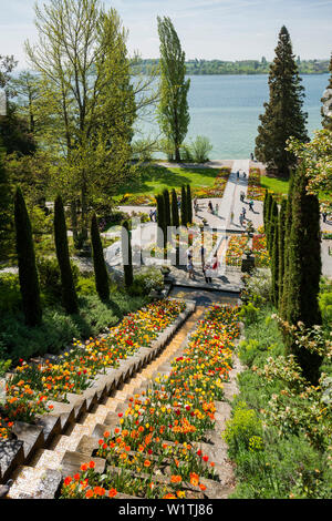 Escaliers et plates-bandes avec des tulipes au printemps, l'île de Mainau, sur le lac de Constance, Bade-Wurtemberg, Allemagne Banque D'Images