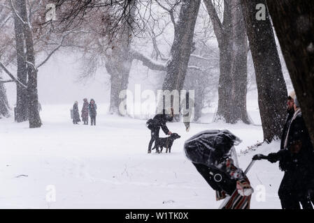 Marcher sous les arbres pendant l'automne de la neige un dimanche après-midi, jardin anglais, Munich, Allemagne Banque D'Images