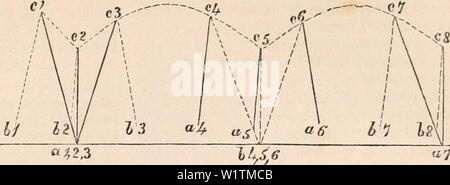 Image d'archive à partir de la page 492 de la cyclopaedia de l'anatomie et. La cyclopaedia de l'anatomie et physiologie cyclopdiaofana03todd Année : 1847 MOTION. 479 par le tableau 13, nous constatons que la durée de l'étape de saut est moins qu'en marche lente, mais supérieur à celui de l'exécution  ; f la longueur de l'étape est beaucoup plus grande que dans la marche, et peut être en plus grand que dans l'exécution plus rapide. Comme le corps balance librement dans l'air une plus longue période, et s'élève à une plus grande élévation en sautant qu'en course et marche, il est nécessaire que le projet- tile force devrait être utilisé plus largement, mais le temps pendant lequel l'ext Banque D'Images