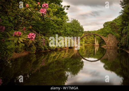 Rakotz Bridge, Azalée et parc des Rhododendrons Kromlau, Gablenz, district de Görlitz, Saxe, Allemagne Banque D'Images