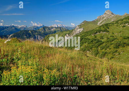 Vue sur les Alpes de Lechtal et roggel, Freiburg, tête Lech Lodge, lechweg montagnes source, Vorarlberg, Autriche Banque D'Images