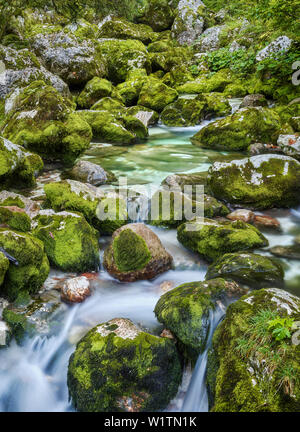 La JICA, Lepe lepena valley, parc national du Triglav, en Slovénie Banque D'Images