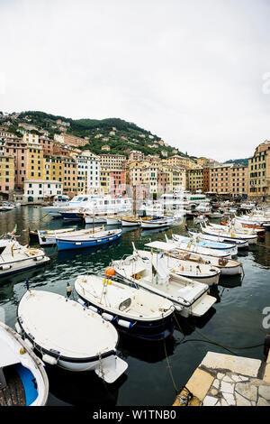 Port avec bateaux de pêche, Camogli, Ligurie, Riviera di Levante, Italie Banque D'Images