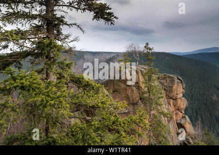 Raven Cliff, Bad Harzburg, district de Goslar, Parc National de Harz, Basse-Saxe, Allemagne, Europe Banque D'Images