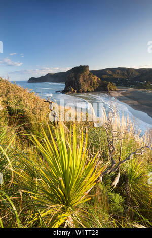 Piha, Waitakere Ranges Regional Park, Auckland, Mer de Tasmanie, île du Nord, Nouvelle-Zélande, Océanie Banque D'Images