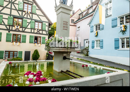 Pétales de fleurs dans une fontaine, Corpus Christi, en la fête du Corpus Christi, procession, Radolfzell, Lac de Constance, Bade-Wurtemberg, Allemagne, Europe Banque D'Images