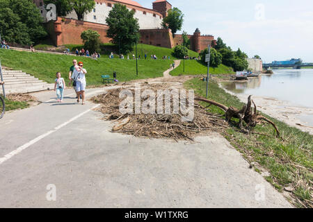 Suite des inondations sur la rivière Vistule/Visla après les gros orages dans le sud de la Pologne à la fin de mai 2019, Cracovie, Pologne, Europe. Banque D'Images