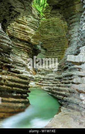 Ruisseau coule à travers le canyon, Brent de l'Art, Vénétie, Italie Banque D'Images