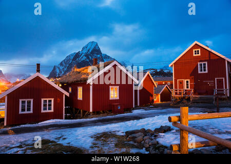 En bois rouge rorbu huttes dans le village de pêche Reine, Moskensoya, îles Lofoten, Norvège, Scandinavie, Europe Banque D'Images