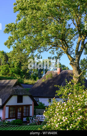 Jardin et maisons d'adobe dans le village de pêcheurs Vitt, Rügen, Ostseeküste, Mecklembourg-Poméranie-Occidentale, Allemagne Banque D'Images